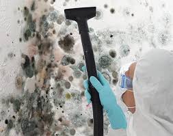 Best Mold Damage Restoration  in Ephrata, WA